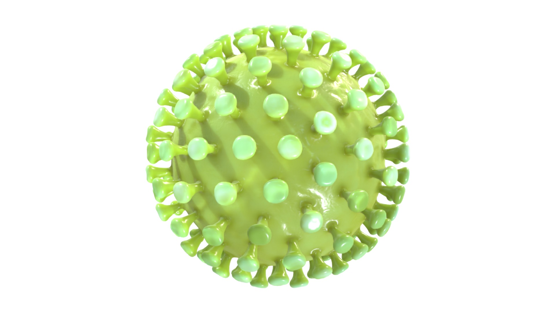 3D model Coronavirus nCoV