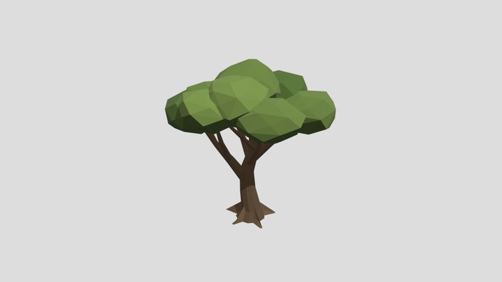 Arbol_hoja_ancha