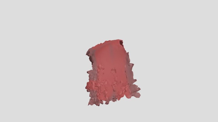 weird bacon thingy 3D Model