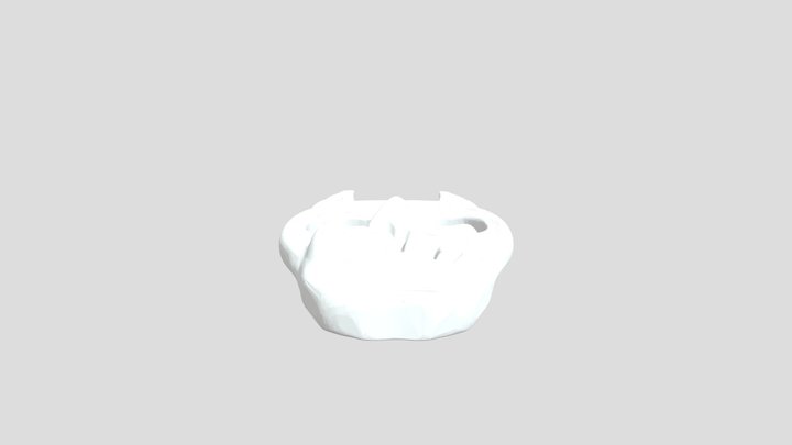 Lion Face Knuckle