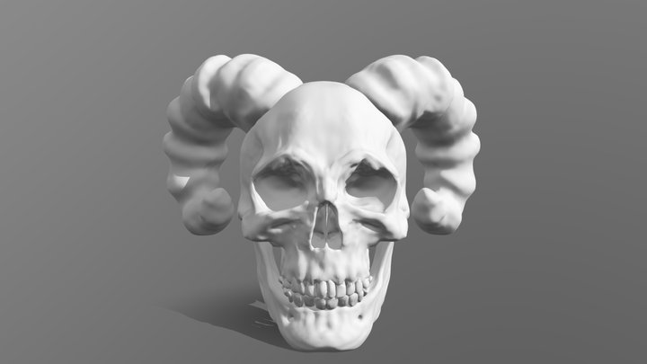 Skull Head High Poly (PORTFOLIO) 3D Model