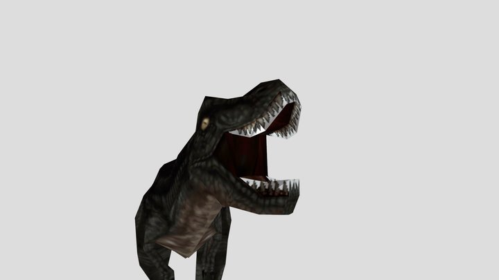 Gray Rex