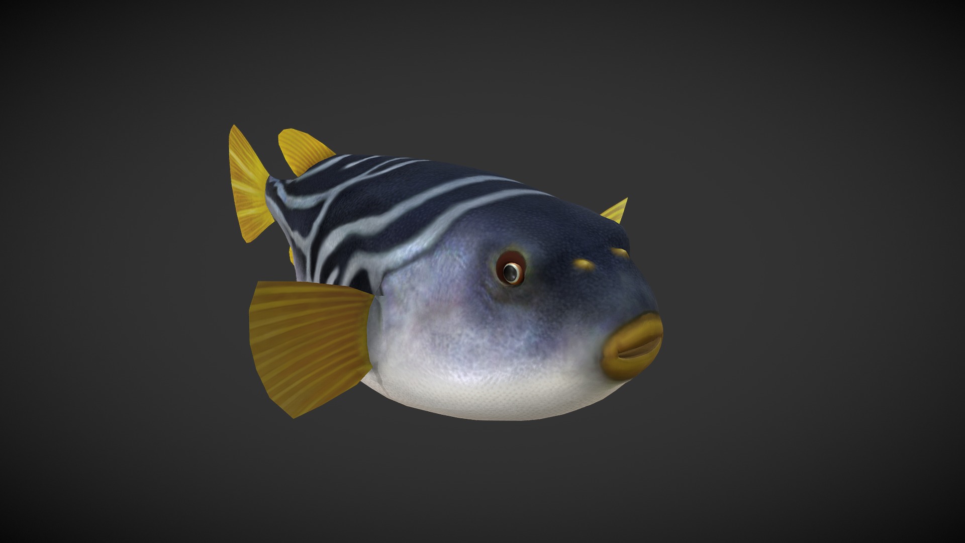 3D model Puffer Fish - This is a 3D model of the Puffer Fish. The 3D model is about a blue and yellow fish.