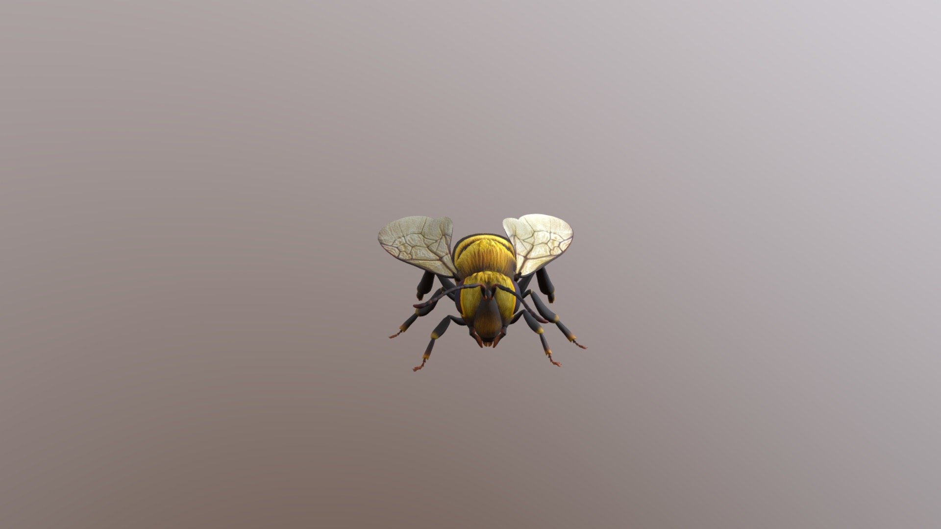 Bee