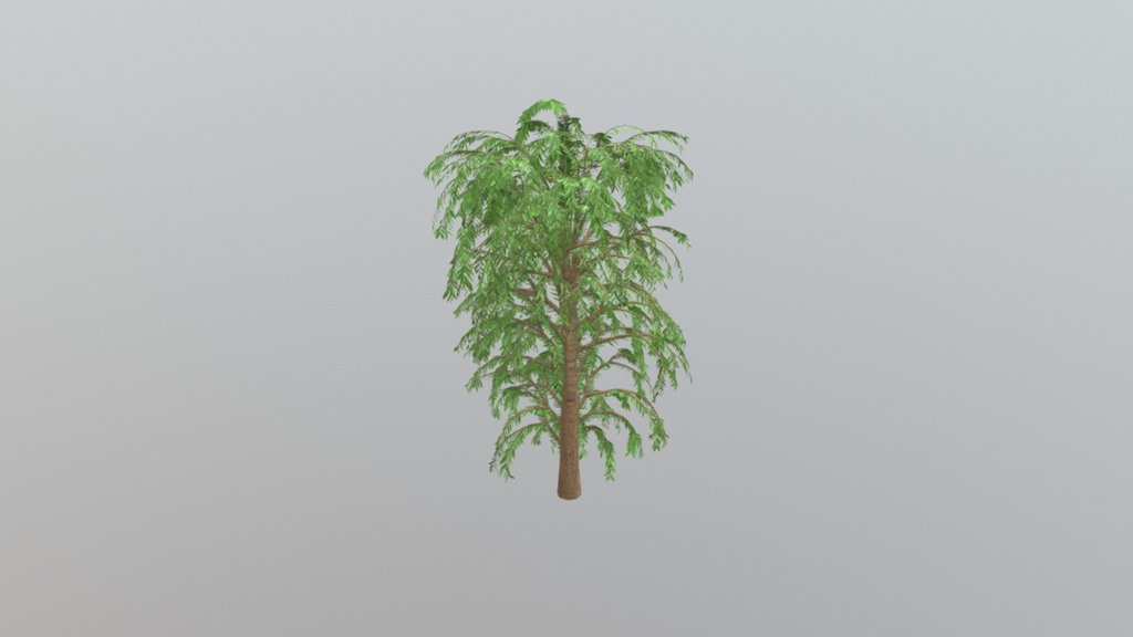 Willow tree 01 - 20m - 3D model by madmaxx9000 [481ace4] - Sketchfab