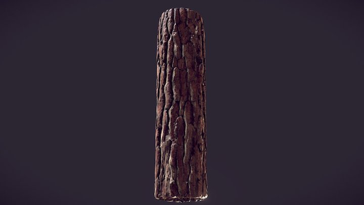 Photogrammetry-based Pine Bark 3D Model