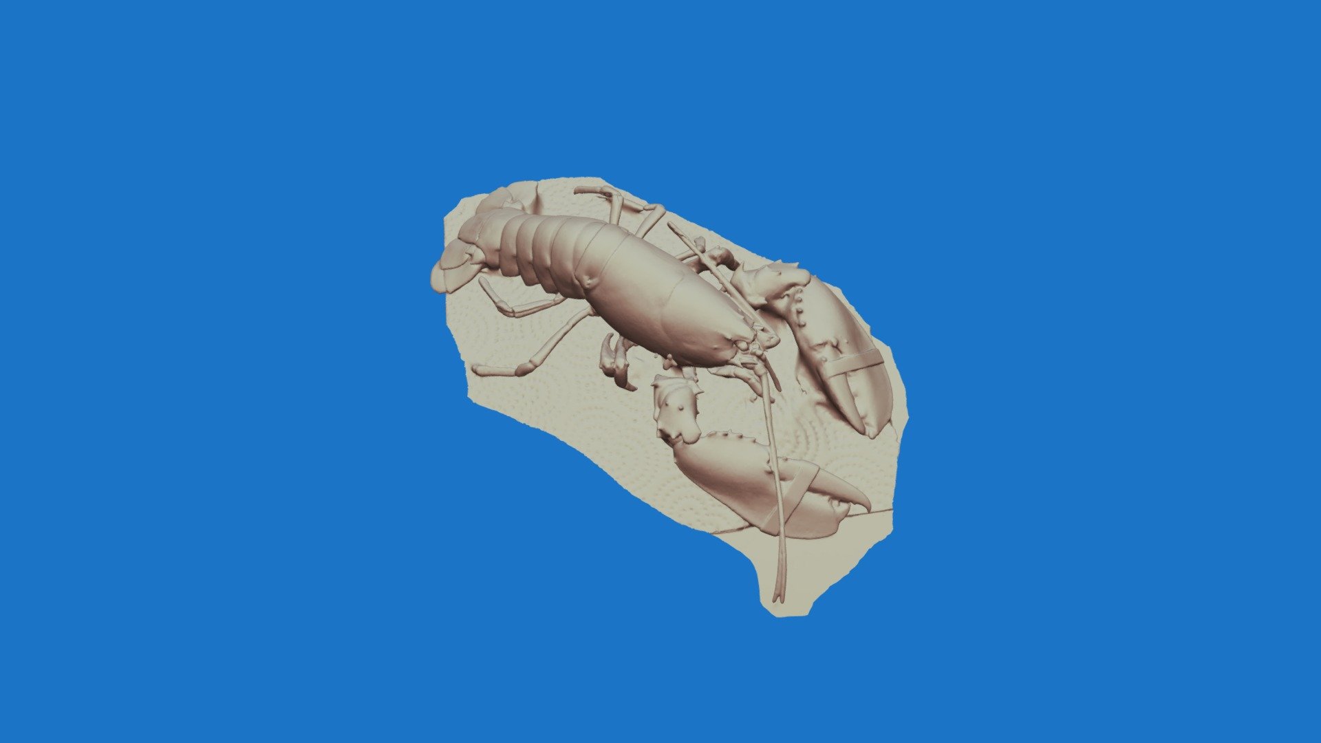 Lobster01w S Spider 0.5mm Resolution