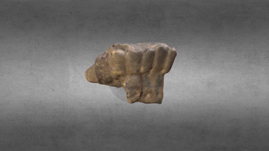 FS 11254 Figurine Fragment?