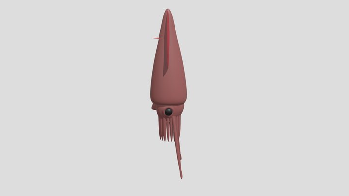 Giant Squid 3D Model