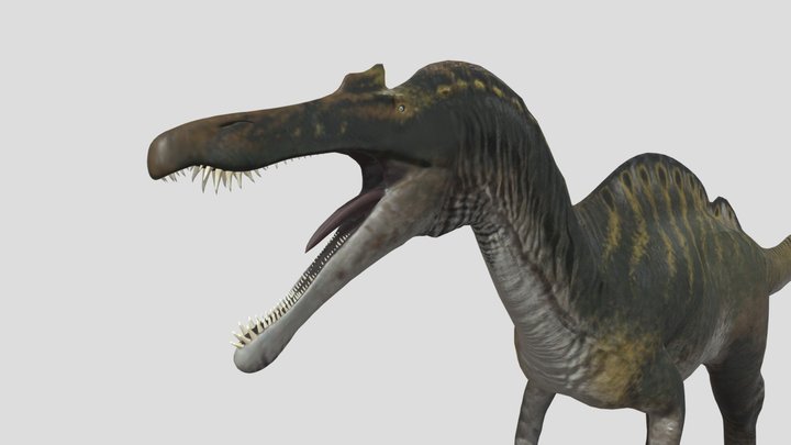 Ichthyovenator – Free 3D Model STL