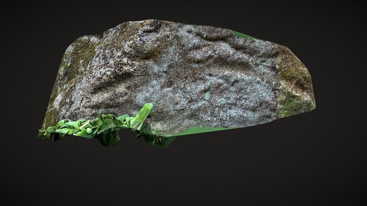 Rock markings 3D Model