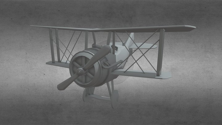 plane model RustAirBorn WIP 3D Model