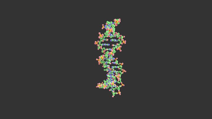 Test DNA rotation 3D Model
