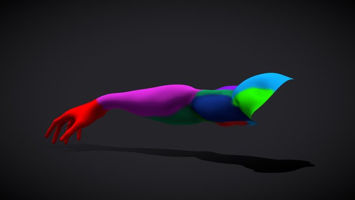 Arms-anatomy 3D Model