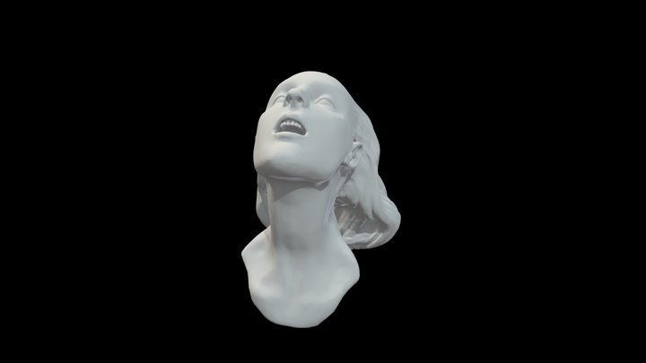 utopená 3D Model