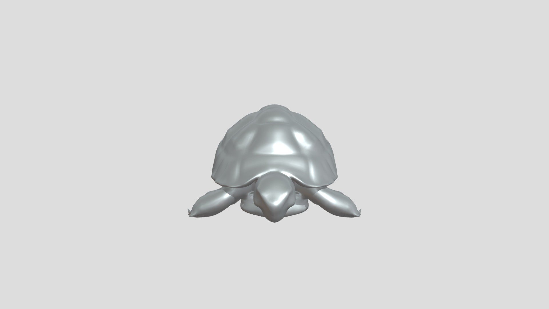 tortoise - 3D model by mobilars [48356a5] - Sketchfab