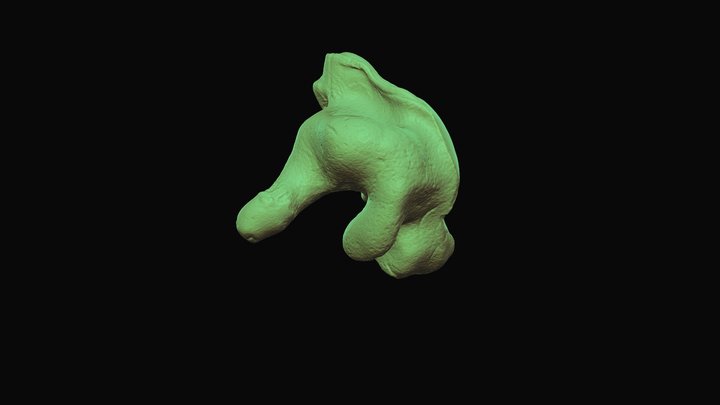 Cochlea/hearing-aid – Modelo 3D gratuito STL