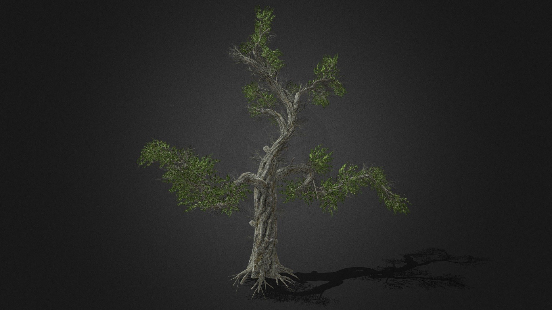 Mythical Honey Tree Download Free 3D model by