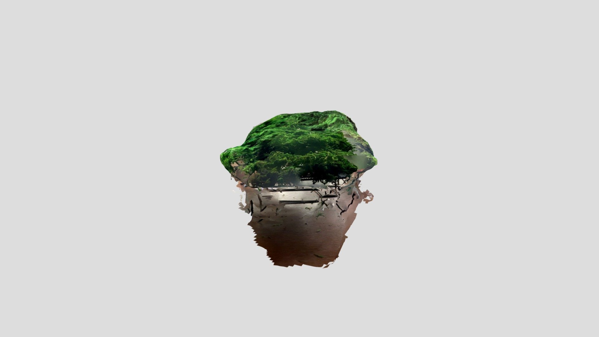 フォレスト