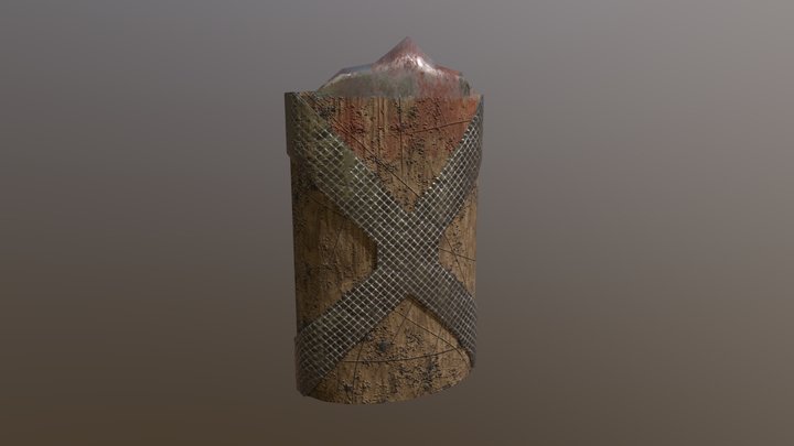 It's a shield 3D Model