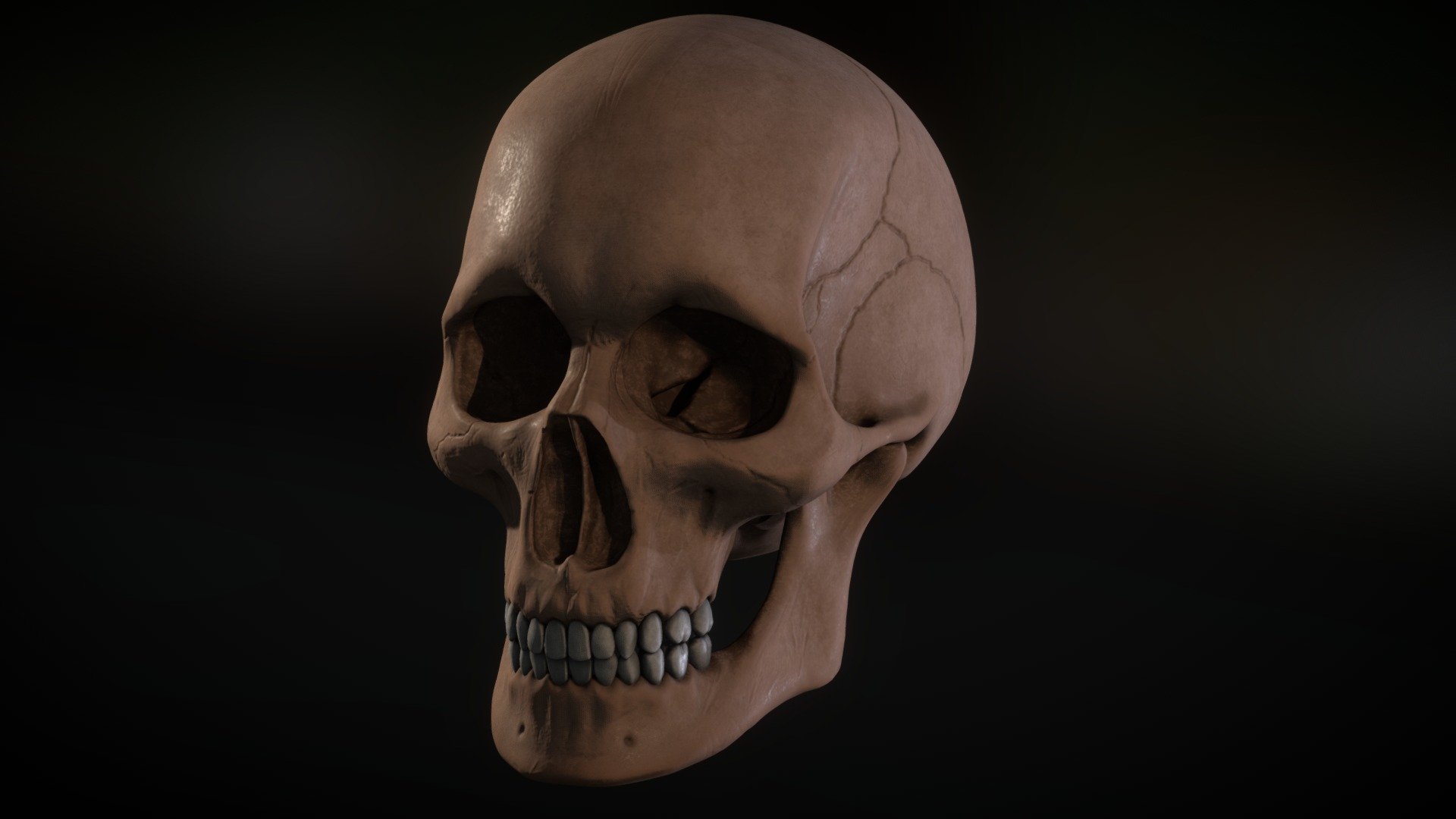 skull