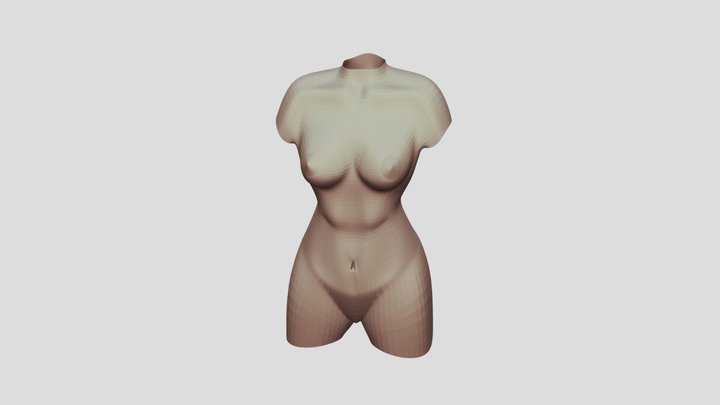 Female torso 3D Model