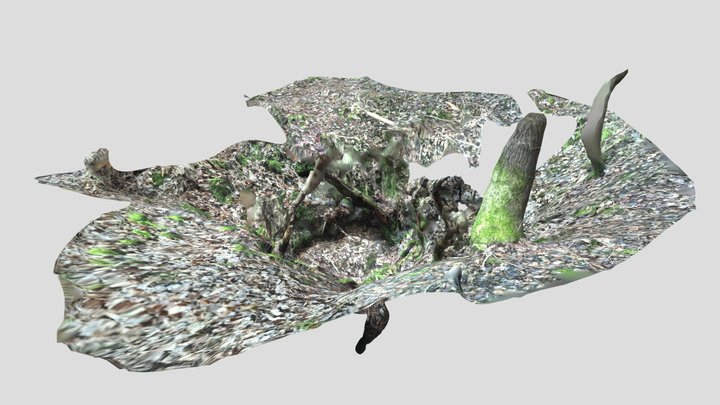Pas Ronds n°2 (Gouffres des) 3D Model