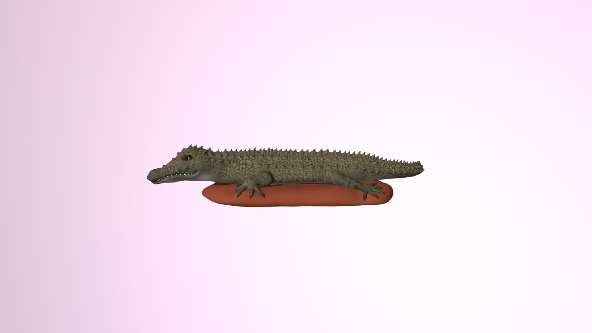An Alligator