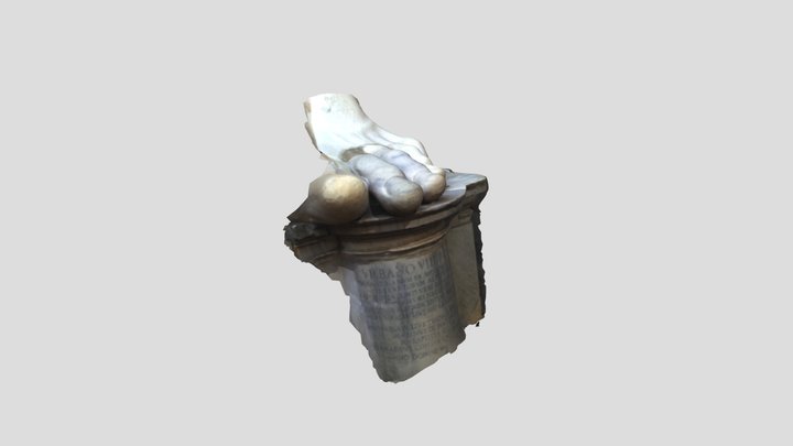 Thefoot 3D Model