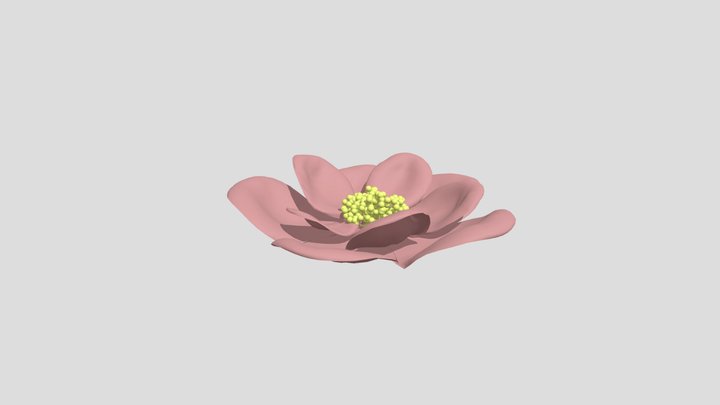 export_flower_design_B 3D Model