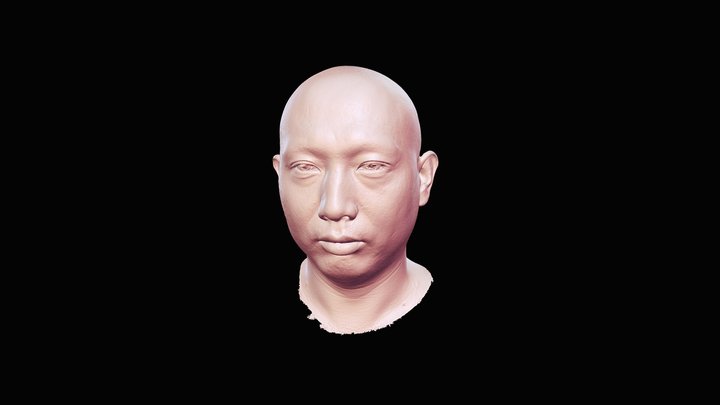 human face – Free 3D Model STL