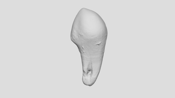 Exp. 26 Perforated 3D Model