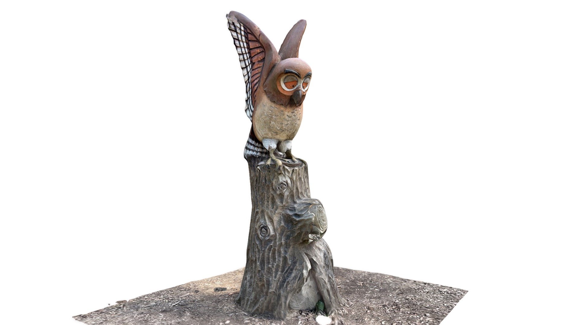 The Owl