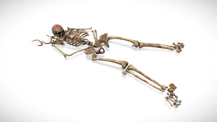Bones Remains Skeleton Laying corpse 3D Model