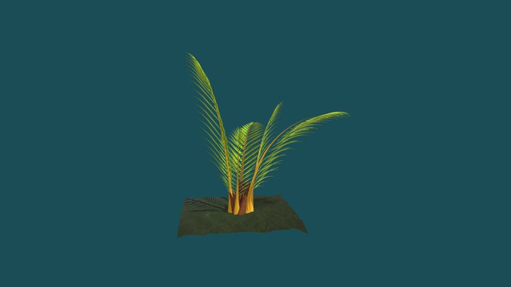 Nipah Palm 3D Model