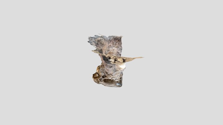 26-2 3D Model