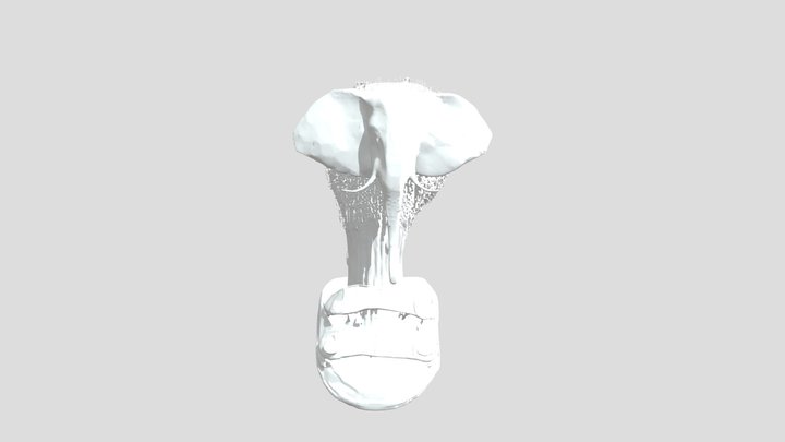 Lirililarila character 3d 3D Model