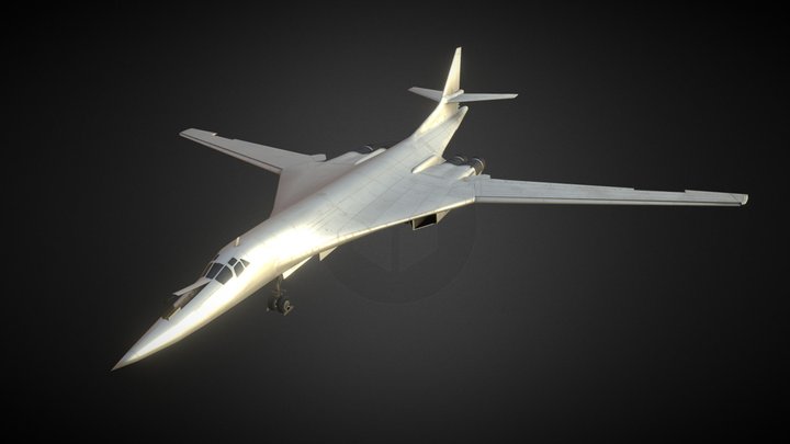 Tu-160 3D Model