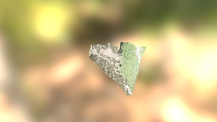 Aguas Lluvias (b) 3D Model
