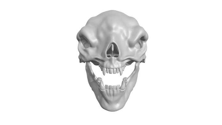 Troll skull open 3D Model