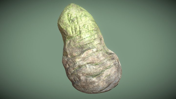 Oasis Rock 3D Model