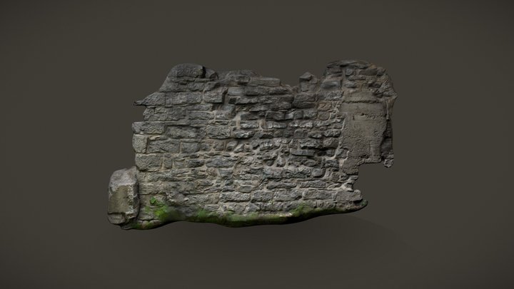 Rock Wall Photogrammetry 3D Model