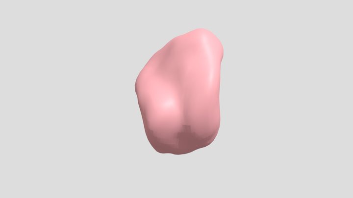 Chewed gum 3D Model