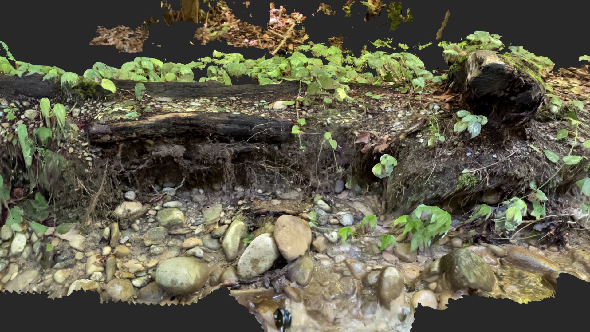 Creek edge