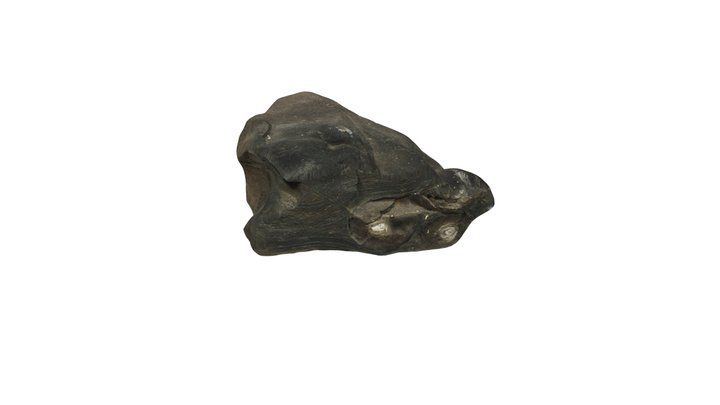 Woodford Shale 2 3D Model