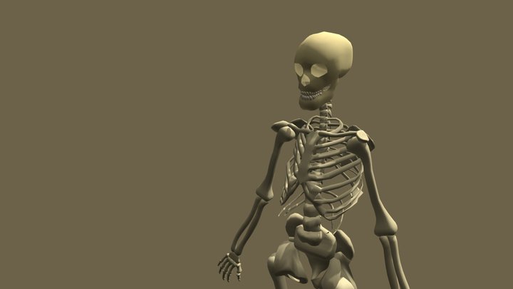 Low Poly Skeleton 3D Model