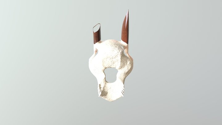 Goat Skull 3D Model