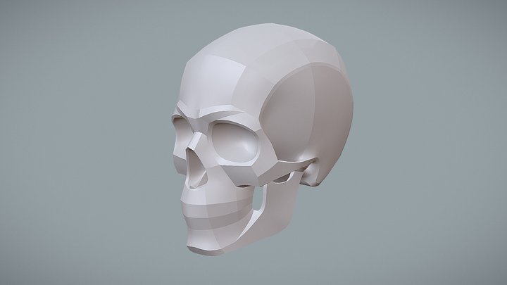 Shapes of the Human Skull 3D Model