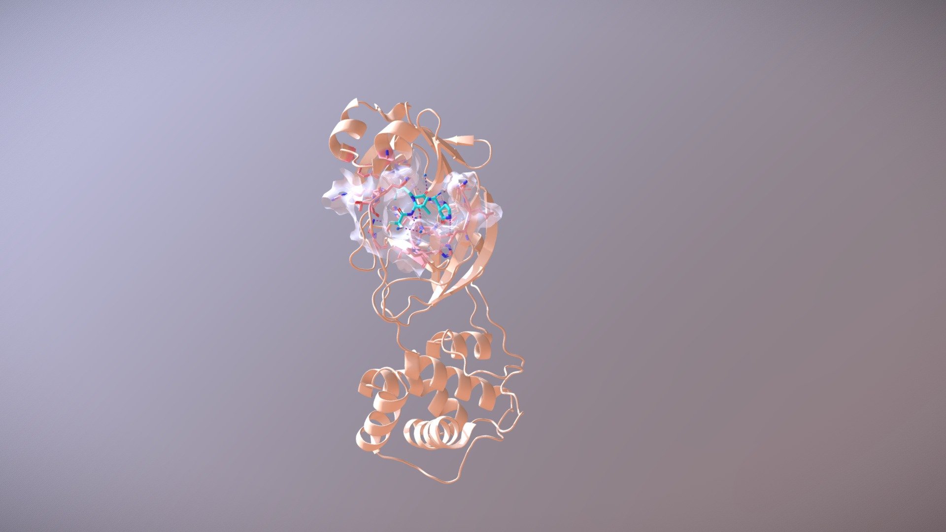 SARS-CoV-2 Main Protease and PF-07321332