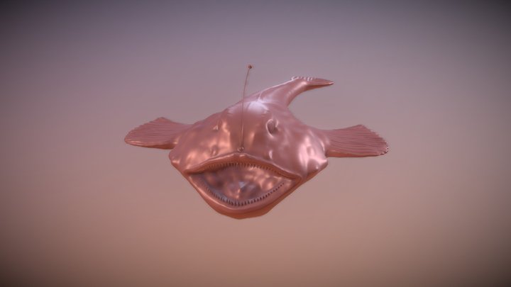 Angler 3D Model